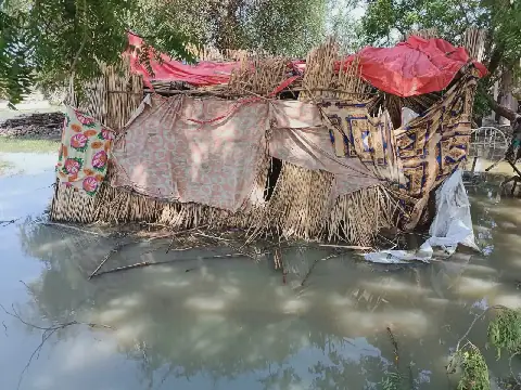 Sudanese Mother of Six Waits for Husband's Return Amidst Ongoing Conflict
