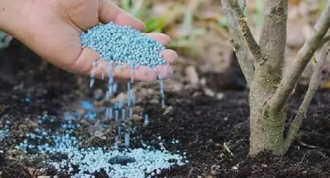 Tunisian Farmers Call for Timely Fertilizer Supply