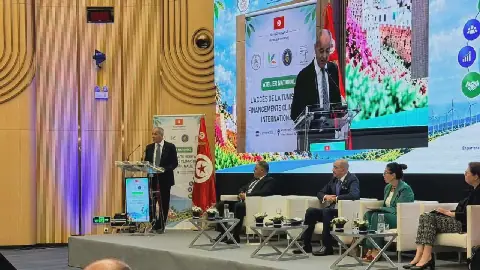 Tunisia's Environment Minister Outlines Waste-to-Electricity Program Expansion