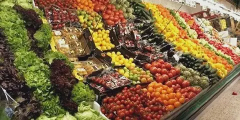 Egypt's Agricultural Production Sees Improvement in 2026/2027 Season