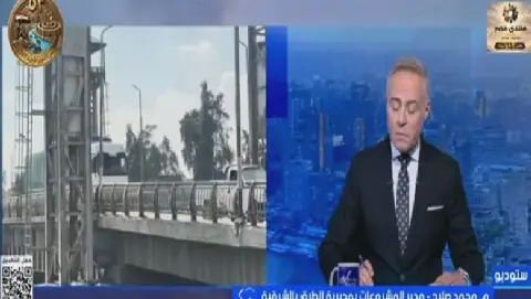 Egypt's Abu Hammad Bridge in Good Condition, Can Withstand Loads Up to 120 Tons
