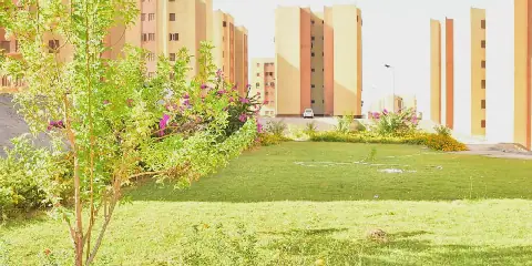 Egyptian Minister of Housing Monitors Progress in New Cities