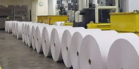 Egyptian Paper Company Rakta's Assets and Liabilities Under Scrutiny