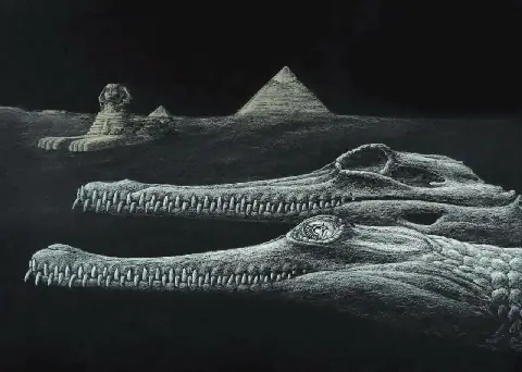 Egyptian Fossil Study Uncovers New Crocodile Species