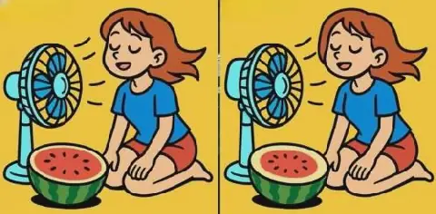 Egyptian Puzzle Enthusiasts Challenged to Find 3 Differences in Girl and Watermelon Image
