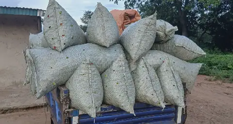 Côte d’Ivoire: Piment Price Surges to 15,000 FCFA per 50kg Bag in Niakara