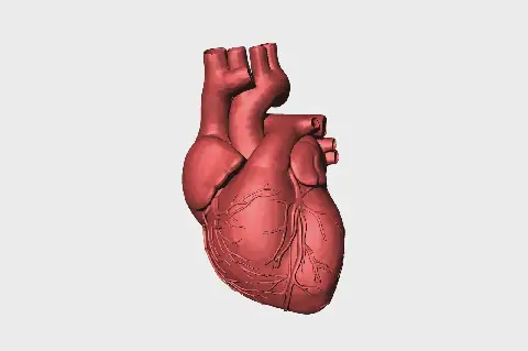 Cardiologist Warns Military Personnel of Hypertension, Heart Disease Risks
