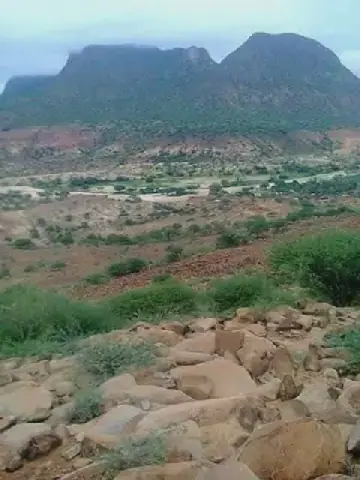Famine Looms in North Darfur's Ein Siro Due to Failed Agricultural Season