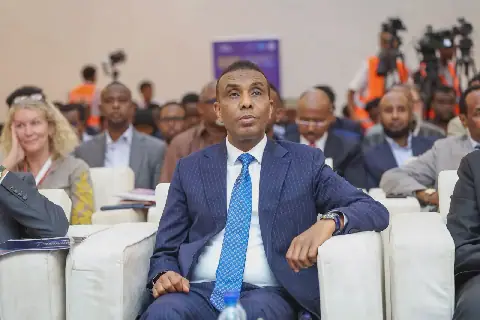Somalia's Prime Minister Closes EU-Somalia Business Forum