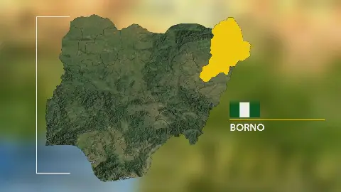 Troops Repel Boko Haram Attack in Borno, Kill 25 Terrorists