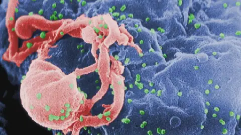 PEPFAR and the Future of Tanzania's Health System