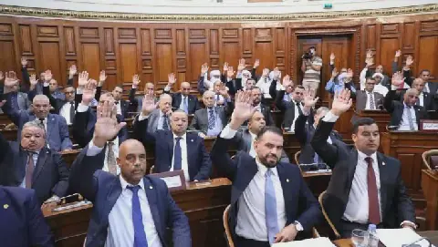 Algerian Senate Approves Amended Penal Code