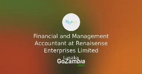 Renaisense Enterprises Limited Seeks Financial and Management Accountant in Lusaka