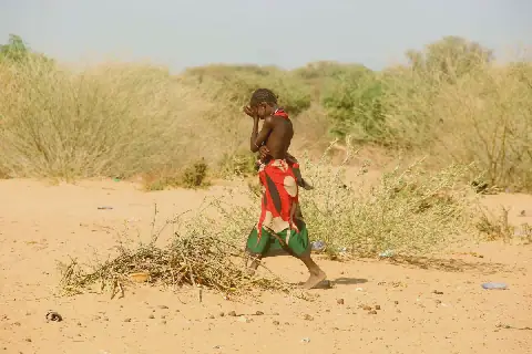 Kenya urged to integrate traditional knowledge in climate services