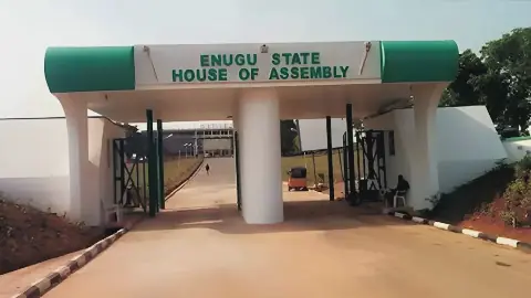 Ex-Enugu lawmakers urge assembly to withdraw crowd control bill