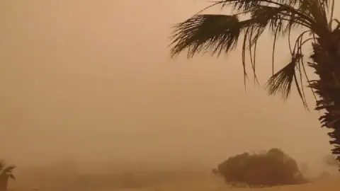 Rain and Sandstorms Hit Several Algerian Provinces