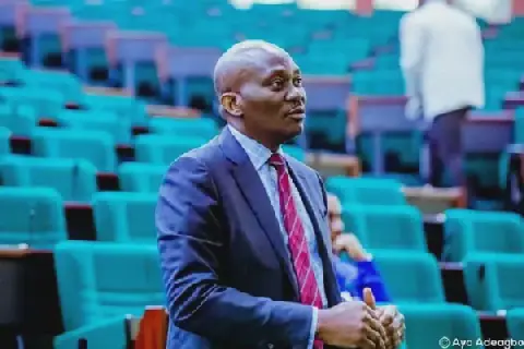Elumelu Urges NASS to Safeguard State Police against Political Interference