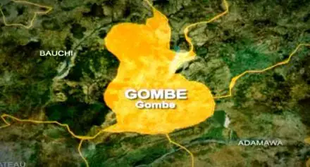 Gombe State Government Launches Mass Livestock Vaccination Campaign