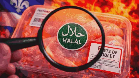 Tunisia Looks to Tap into Growing Halal Economy