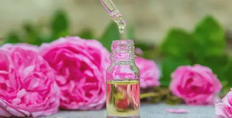 Moroccan Researchers Study Compounds in Rose de Damas Oil