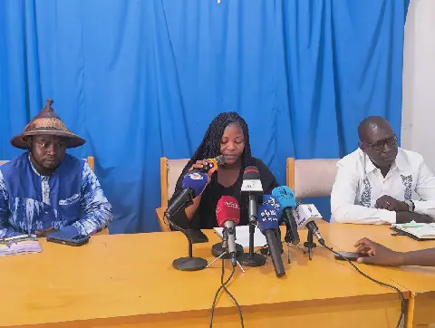 Experts Warn of Looming Food Crisis in Chad Due to Cereal Deficit