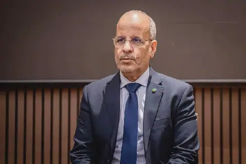 Mauritania's Vocational Training Sector Sees Significant Growth