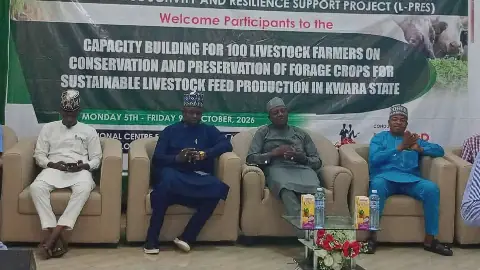 Lagos Seeks Daily Supply of 1,000 Cattle from Kwara