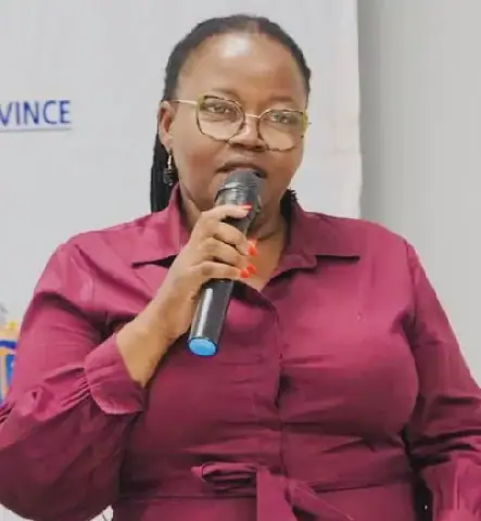 Gauteng Launches Digital Platform for Transport Operating Licences