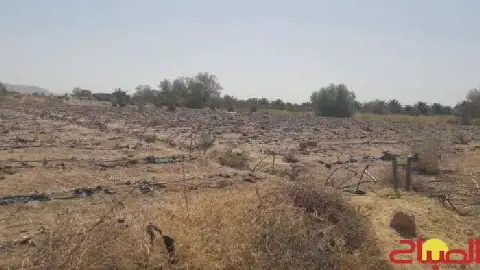 Red Watermelon Cultivation Strains Water and Soil in Morocco's Zakoura Region