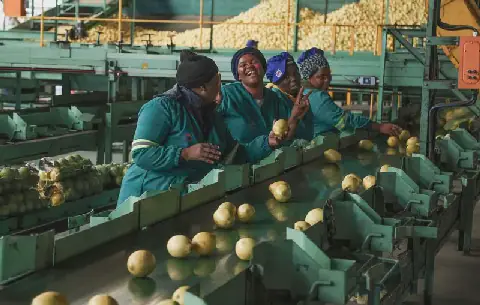 ‘Parallel governance’ — Sundays River citrus farmers fill the cracks in municipal service delivery