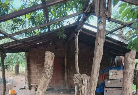 Feature image