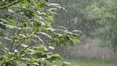 Tunisia to Experience Rainy and Cooler Weather