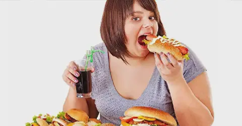 Tunisia Hosts 8th International Nutrition Conference