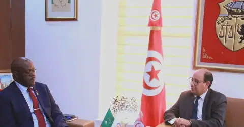Tunisia's Communication Minister Discusses Cooperation with African Postal Union Secretary-General