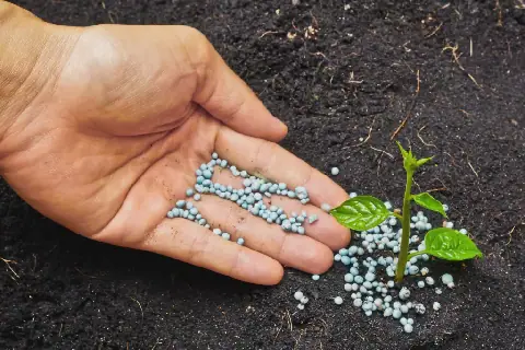 ONU alerta para crise humanitária sem precedentes devido à falta de fertilizantes