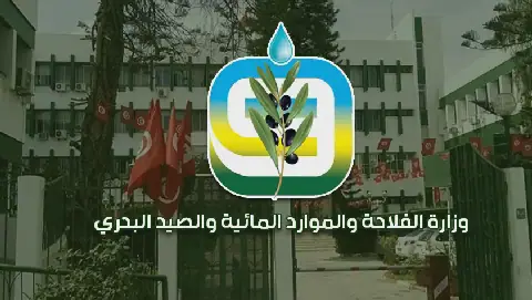 Tunisia Issues Weather Alerts for Rain and Thunderstorms