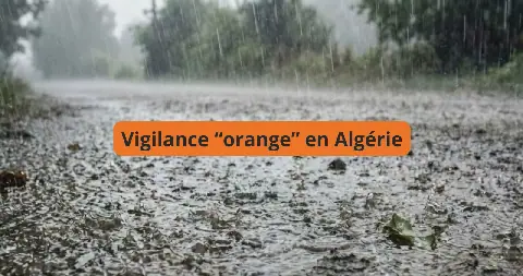 Algeria Issues Level 2 Weather Alerts as Heavy Rain Expected Across Several Regions