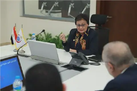 Egypt's Deputy Health Minister Leads National Committee Meeting on Non-Communicable Diseases