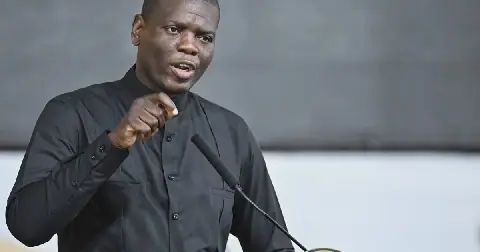 South African Minister Supports Clampdown on Misinformation Spreaders Abroad