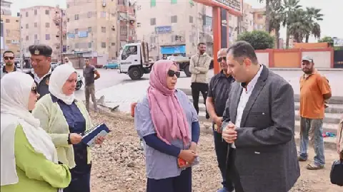 Egyptian Governor Issues Directive on Receiving Utility Projects