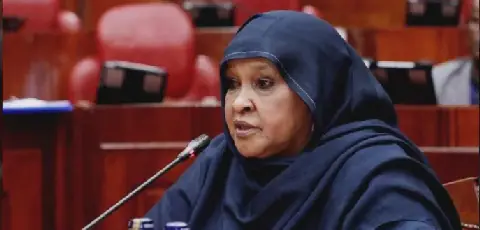 Fatuma Ali lands key PSC seat after MPs approve nomination