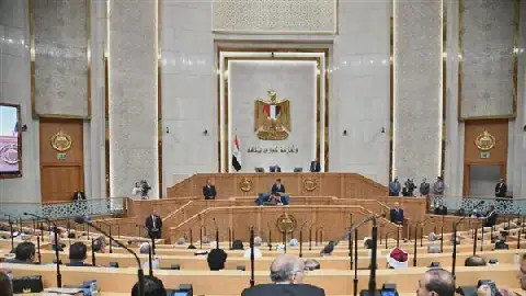 Egyptian Senate's Thematic Committees Begin Work After Office Elections