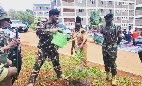 Murang’a targets 200K trees in 1 hour