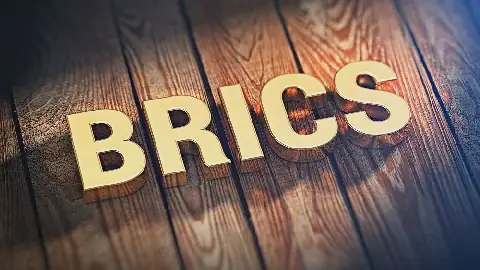 Expert: African countries want to be part of BRICS