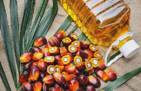 Ghana Faces 150,000-Tonne Palm Oil Shortfall, Industry Warns
