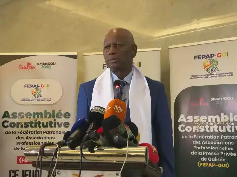 Guinea's Media Landscape in Disarray, Says Boubacar Yacine Diallo