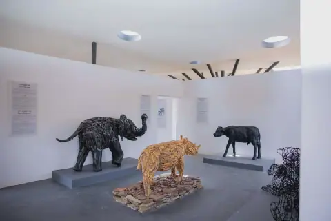 Tanzania Launches €1.3 Million Visitor Centre to Boost Conservation Efforts in Serengeti National Park