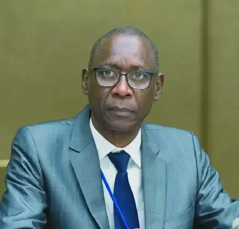 Senegal Urges Restraint and Respect for Electoral Calendar in Guinea-Bissau