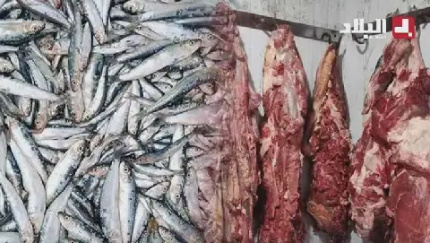 Algerian Authorities Seize and Destroy Large Quantities of Spoiled Meat and Fish
