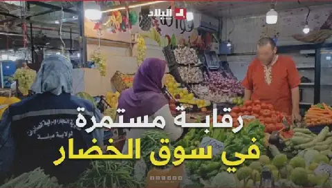 Algerian Authorities Conduct Continuous Monitoring of Markets